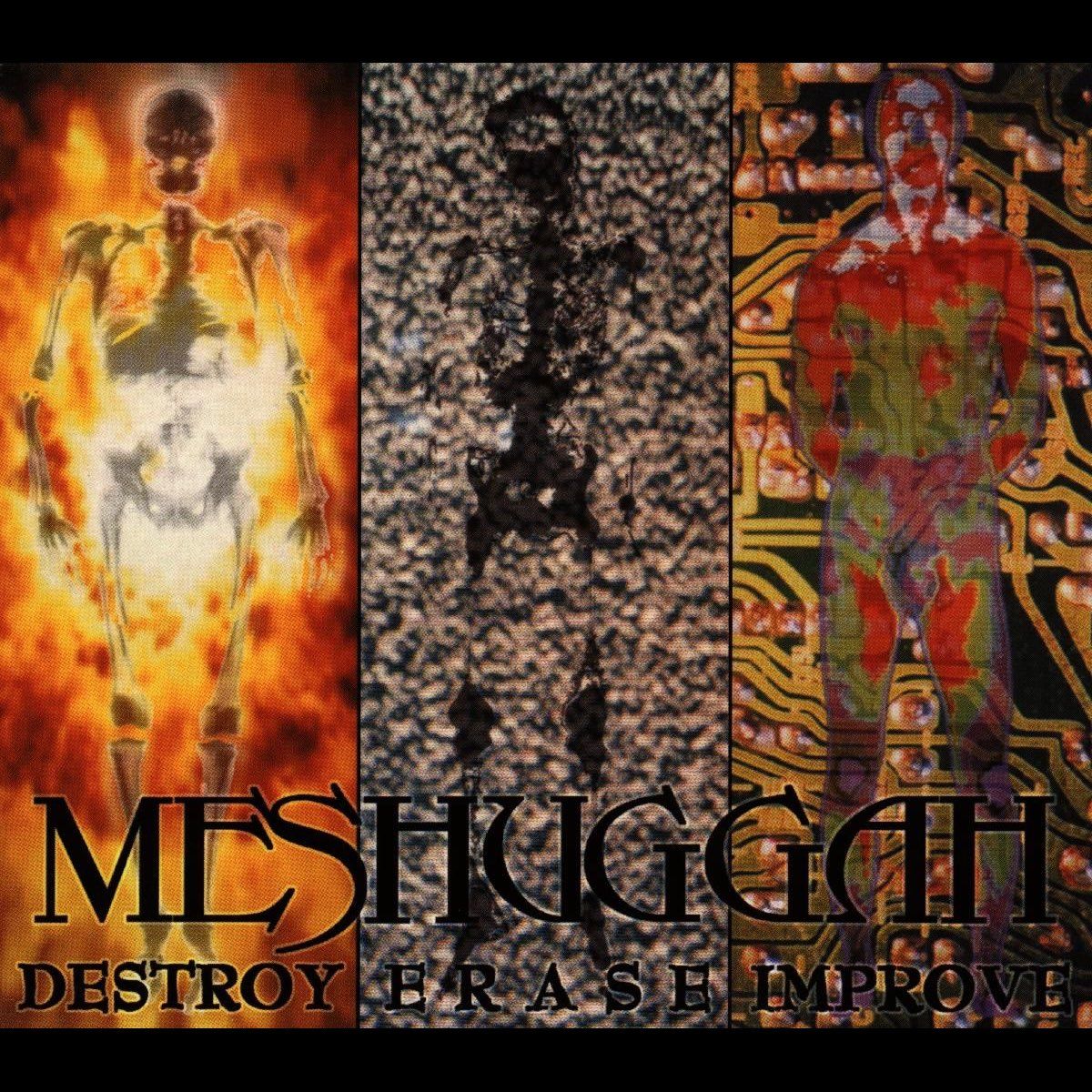 Meshuggah - Destroy, Erase, Improve
