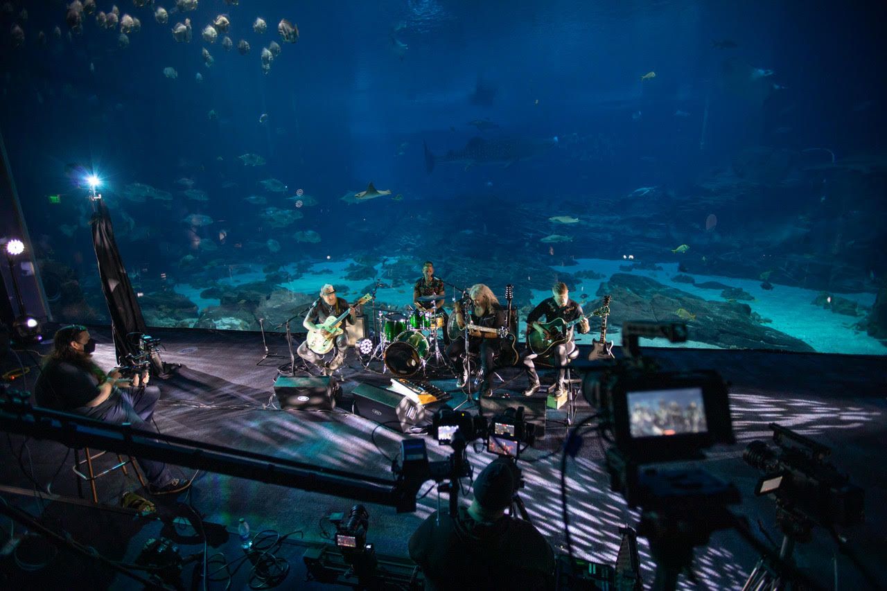 Captured live at Georgia Aquarium
