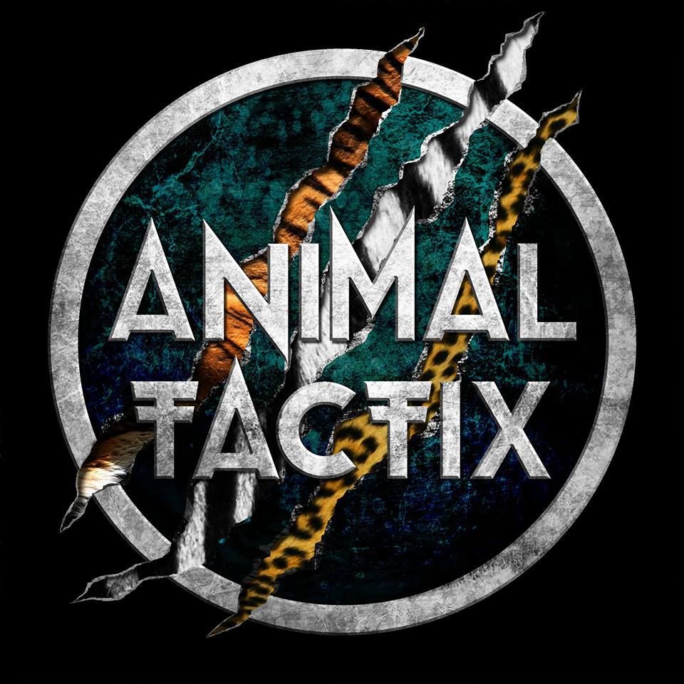 Mark Mendoza gründet neue Band Animal Tactix