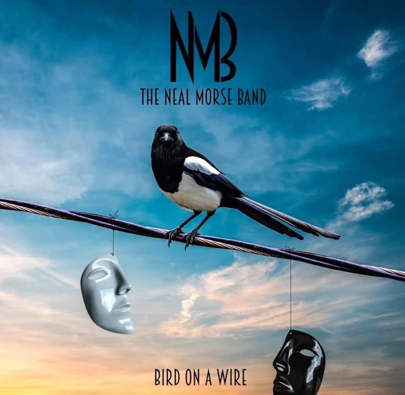 'Bird On A Wire'-Single im Video