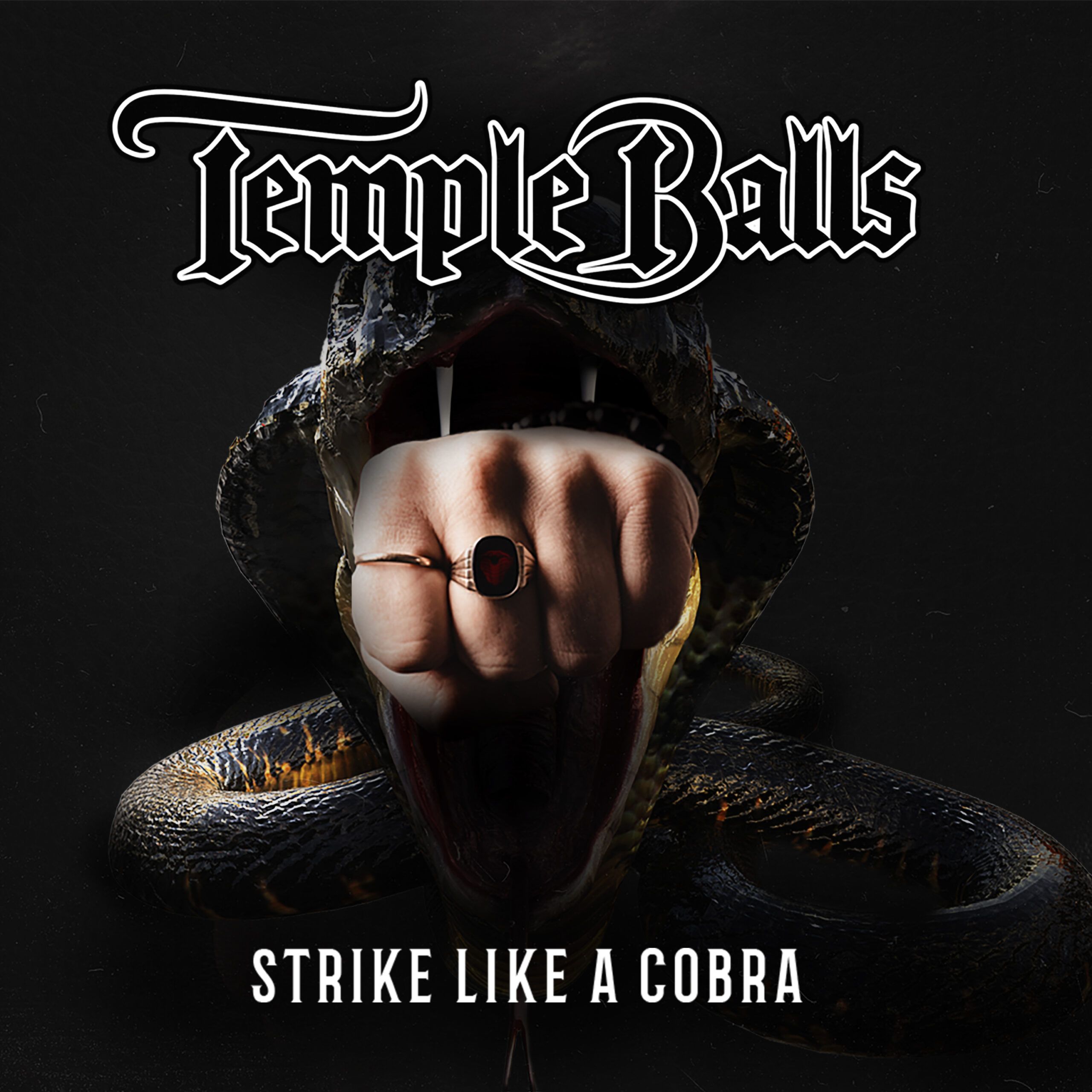 'Strike Like A Cobra'-Video enthüllt