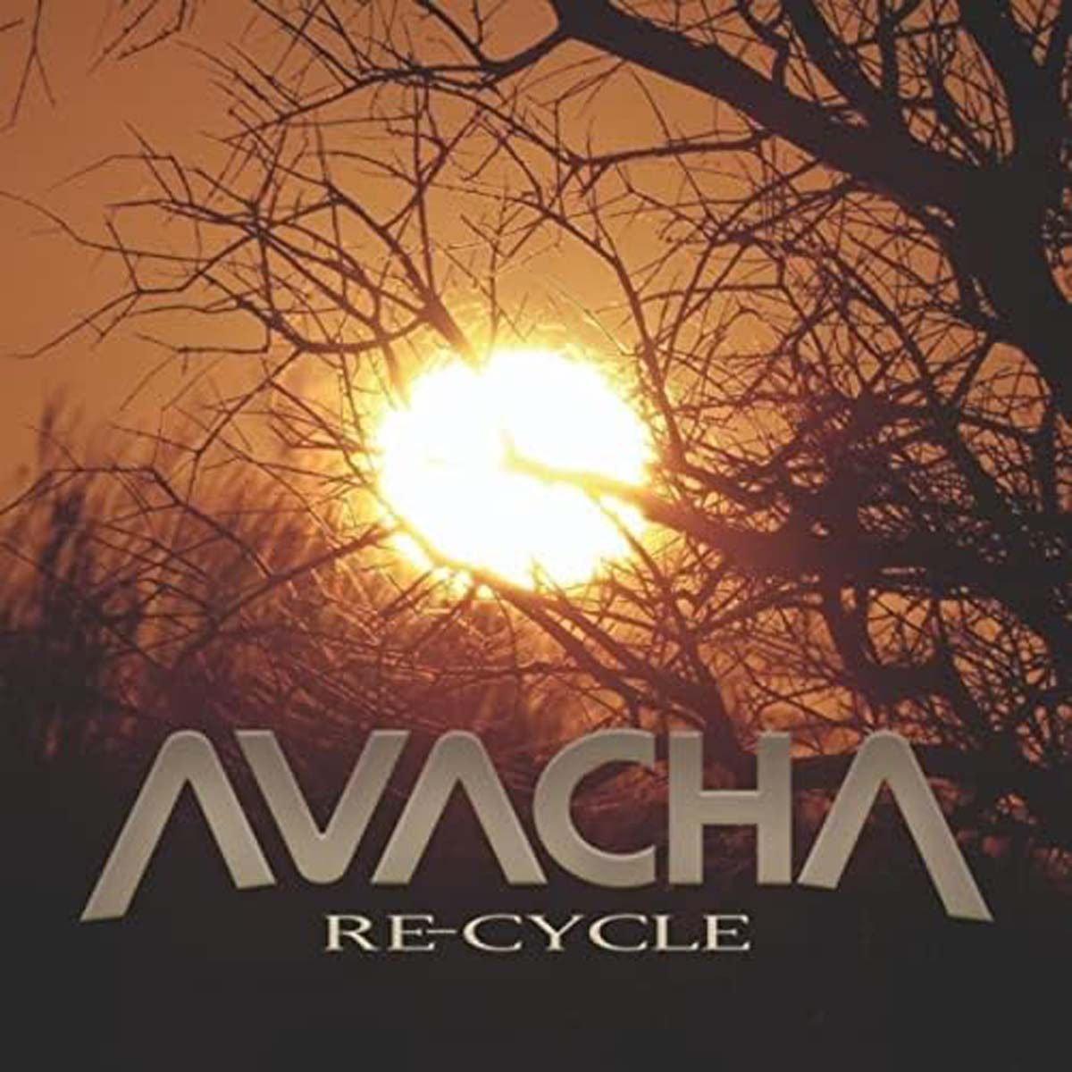 Avacha - Re-Cycle