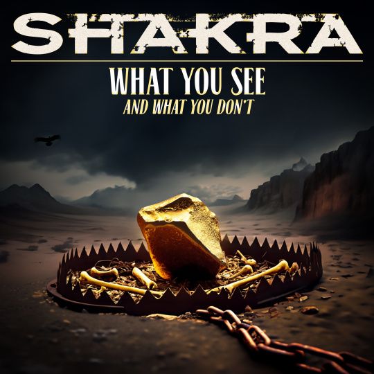 Neue Single 'What You See (And What You Don't)' ist online