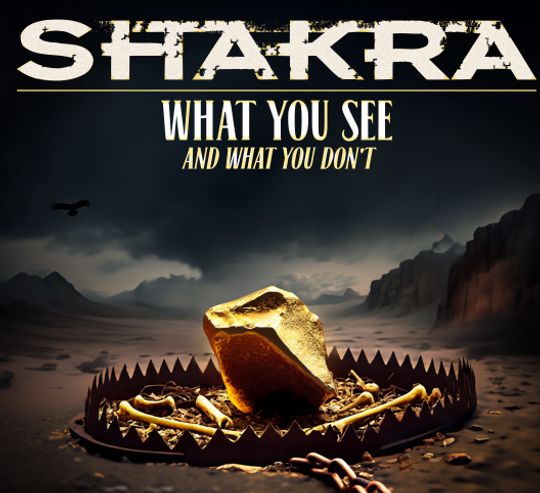 Shakra - What You See Single