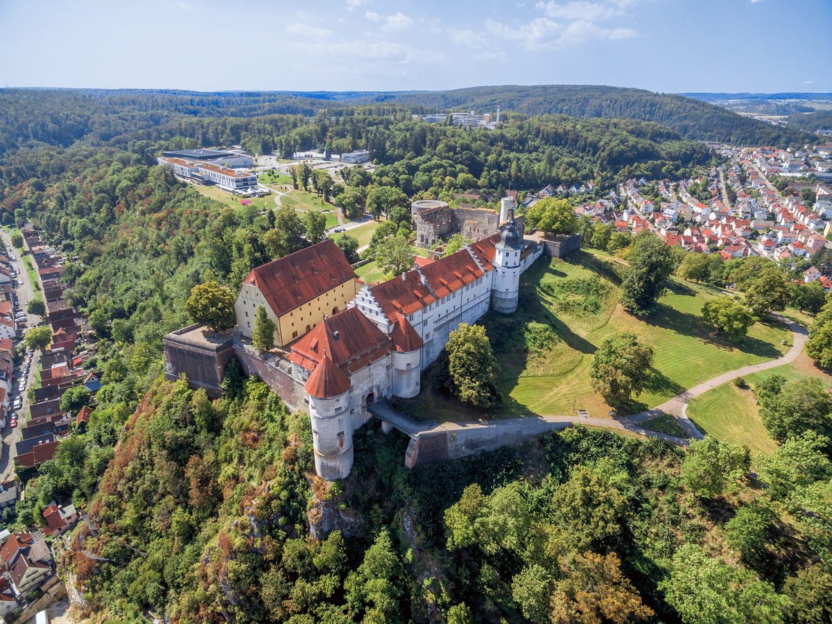 What's on offer at the Schlossberg Adventure Day on June 1st in ...