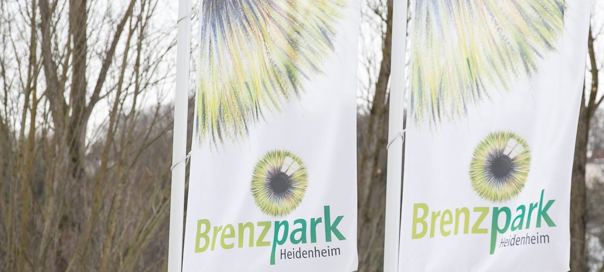 How the 2025 season went at Brenzpark Heidenheim