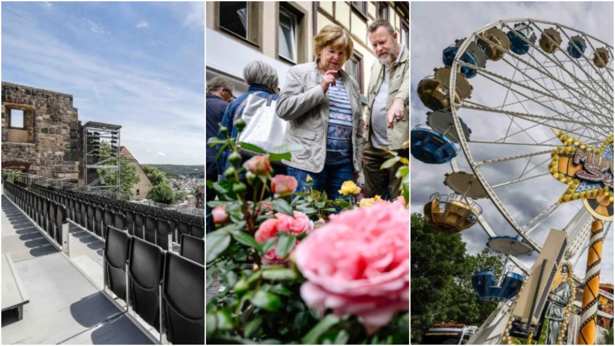 Public viewing, rose market, folk festival: This is what's on offer in ...