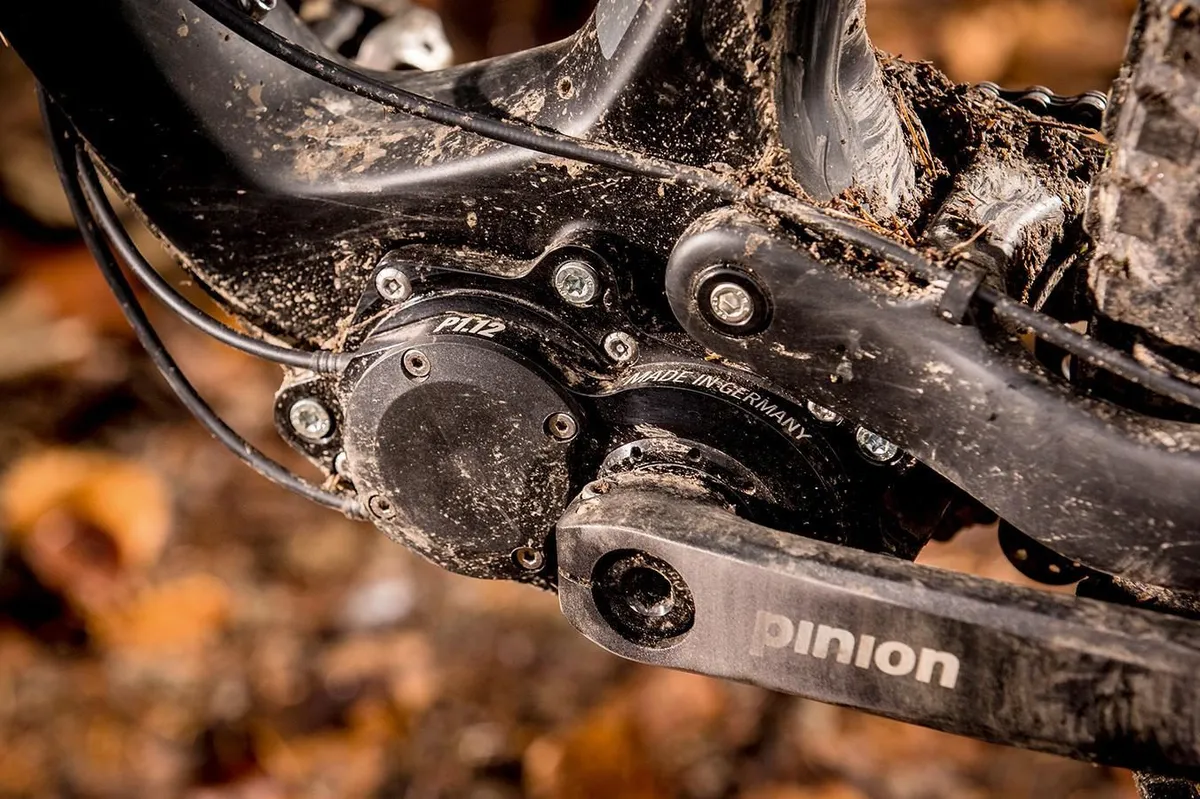 Pinion gearboxes have found a niche mainly on mountain bikes