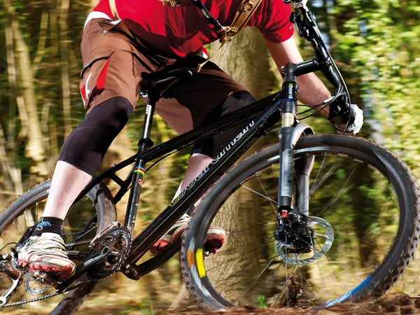 Boardman Comp
