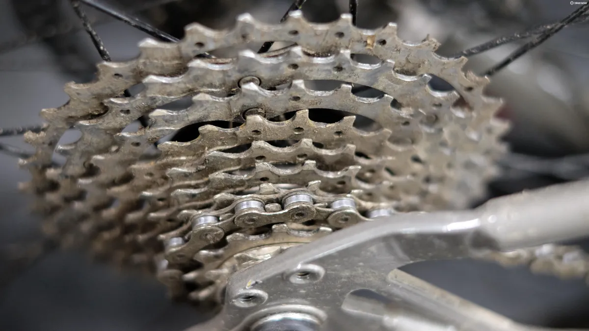 A dry chain will rob you of efficiency and will damage your bike's expensive drivetrain components
