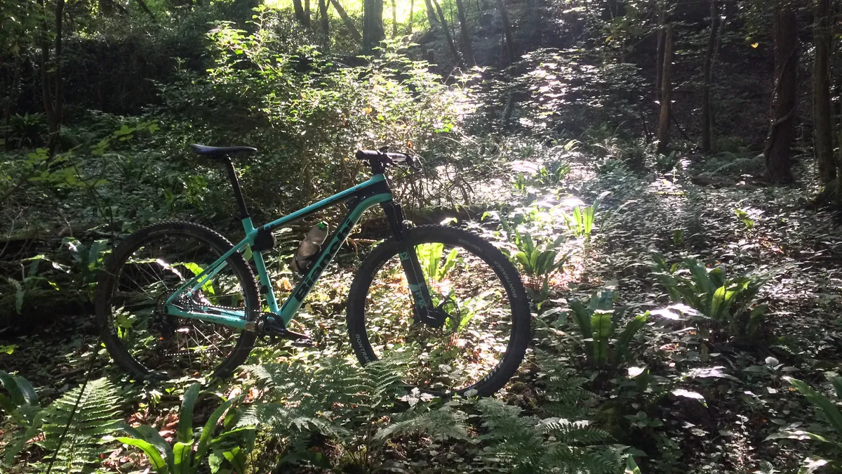 hardtail mountain bike in woodland