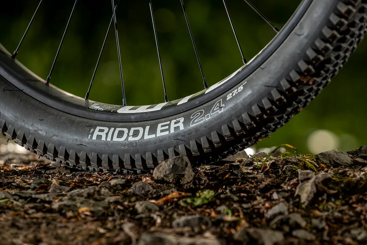 Surly Bridge Club review WTB Riddler Comp tyres