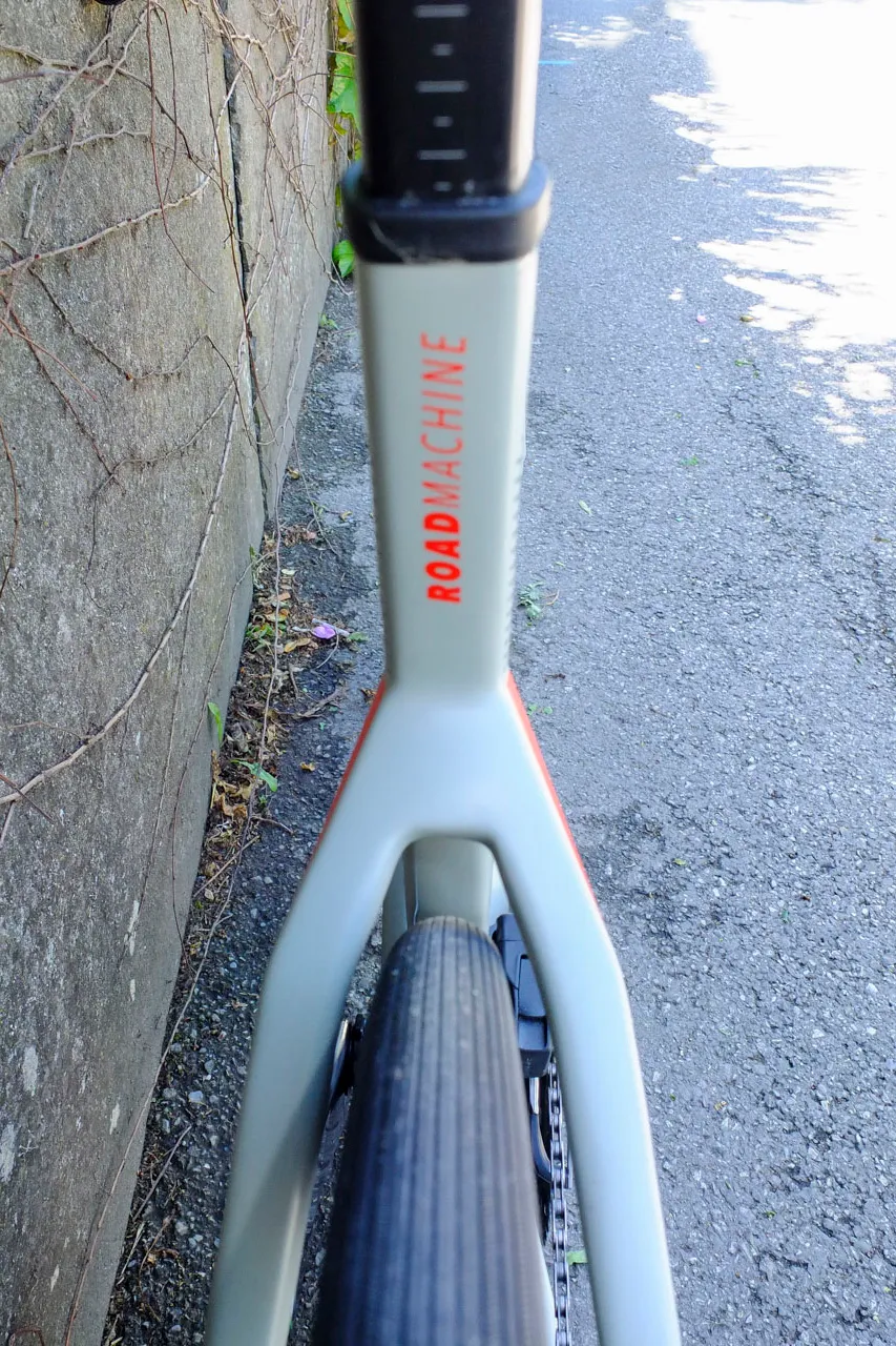 Seatstays showing tyre clearance on road bike