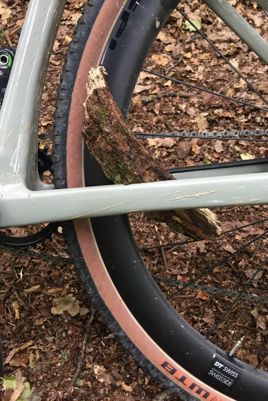 branch jammed between frame and rear wheel