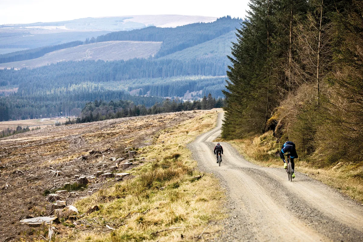 Man v nature: riders take on 200km of Kielder Forest