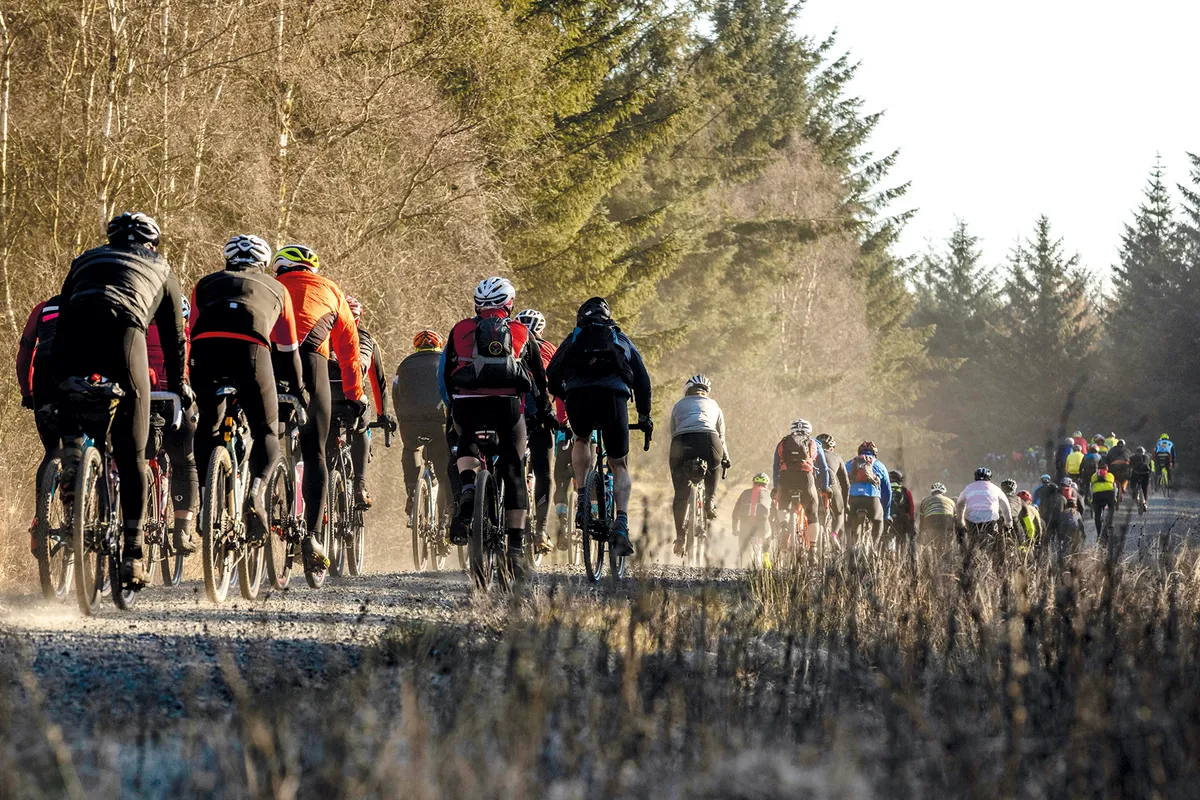 Large group of cyclists riding through Kielder Forest