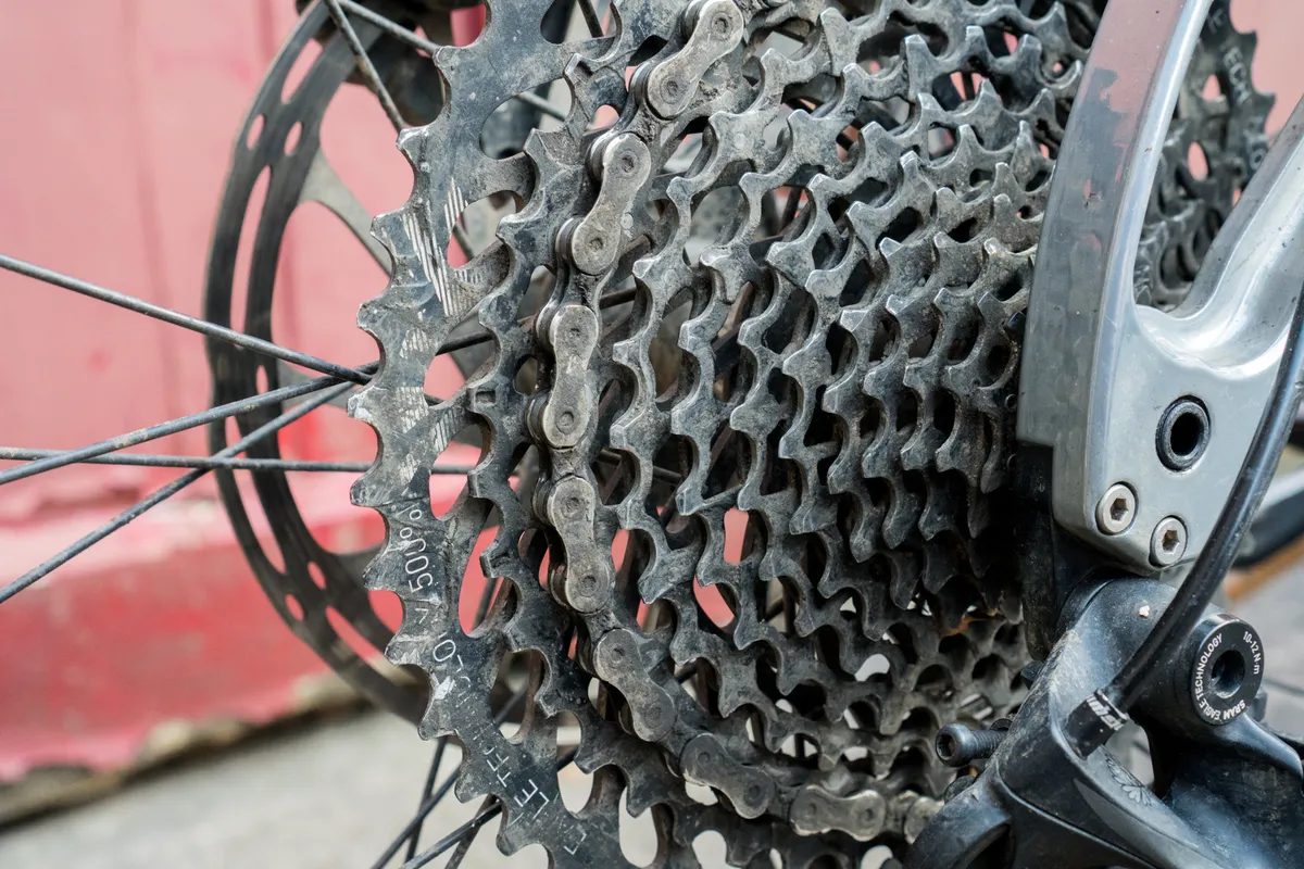 It's recommended you replace the cassette when you change the chain and chainring