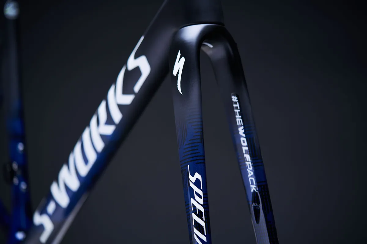 Specialized limited edition version of its S-Works Tarmac Disc frameset