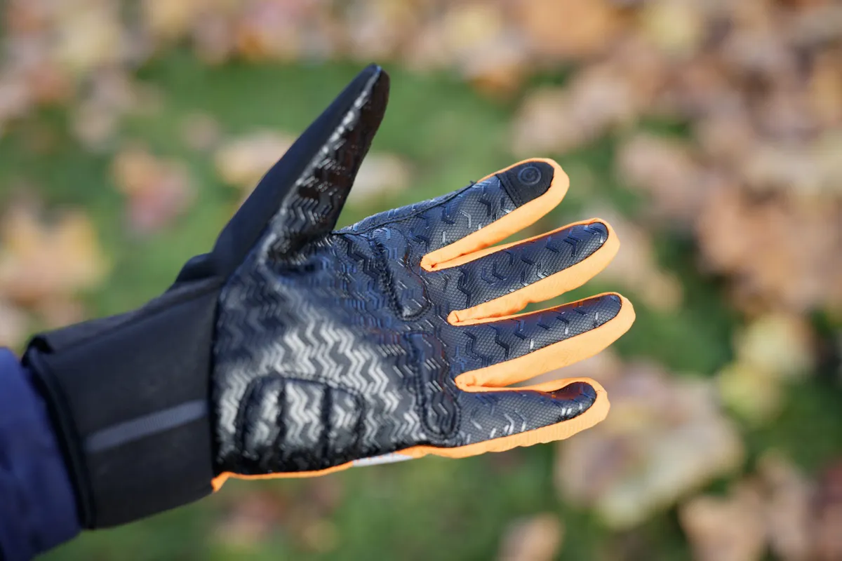 Palm of glove
