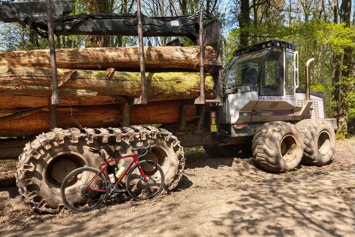 Roubaix resting against logging tractor