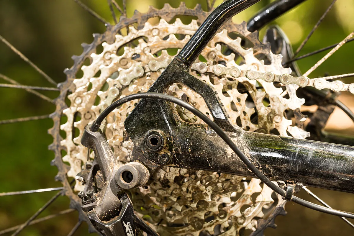 Dropouts and cassette on a hardtail mountain bike