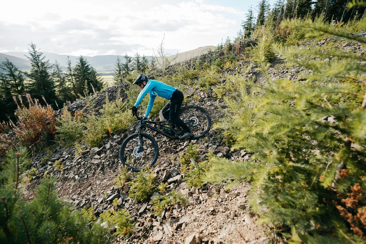 2021 Specialized Stumpjumper Expert trail mountain bike