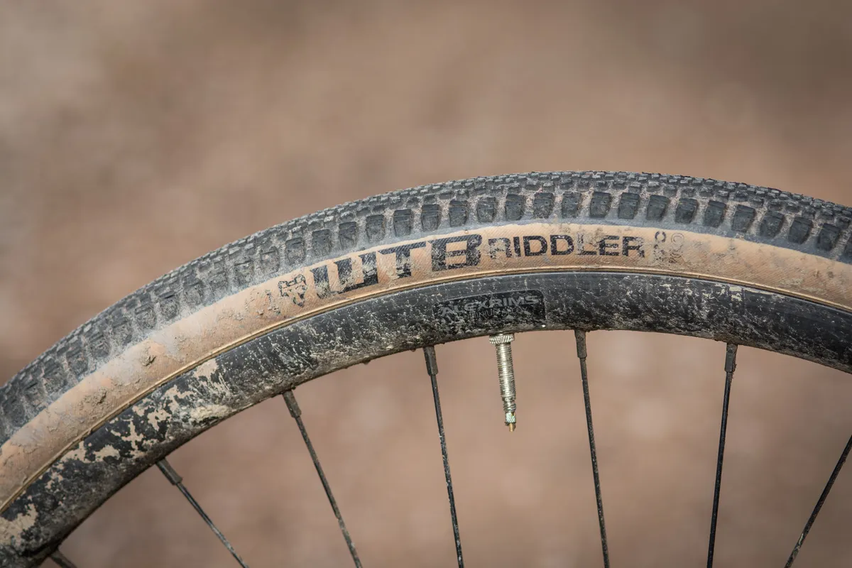 WTB Riddler tyre on wheel