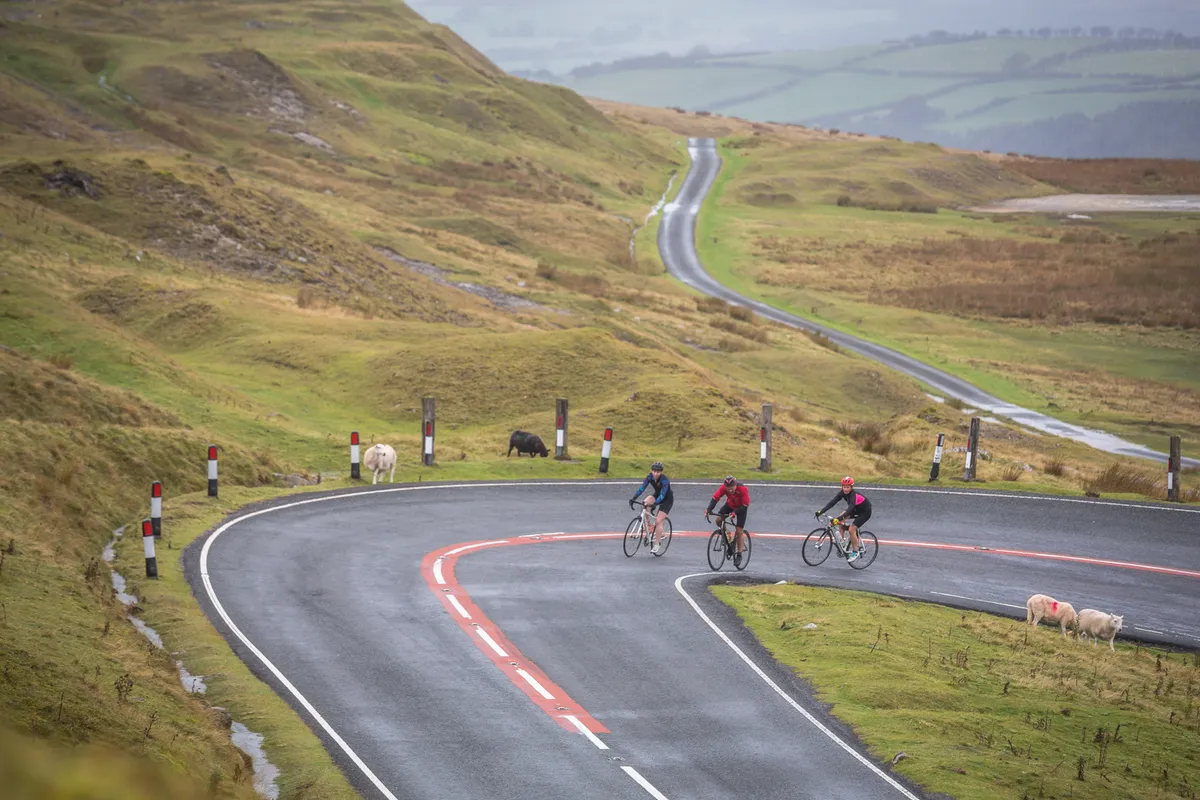 Road cyclists climbing in Carmarthenshire