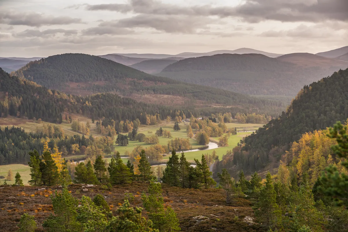 The Cairngorms National Park.