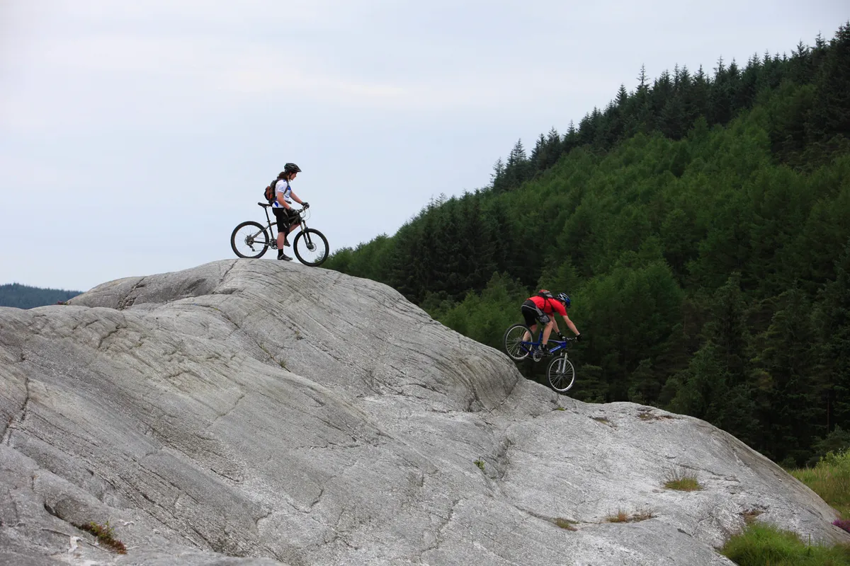 A couple of mountain bikers on the black craigs single track trail, a black graded route at Kirroughtree (forest), near Newton Stewart, one of the 7stanes mountain bike centres in southern Scotland