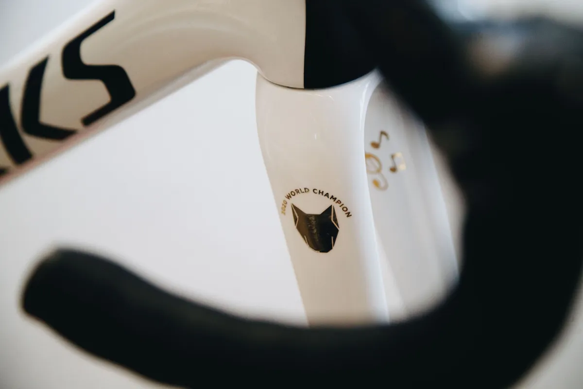 Fork detail on a custom painted Specialized S-Works Tarmac SL7