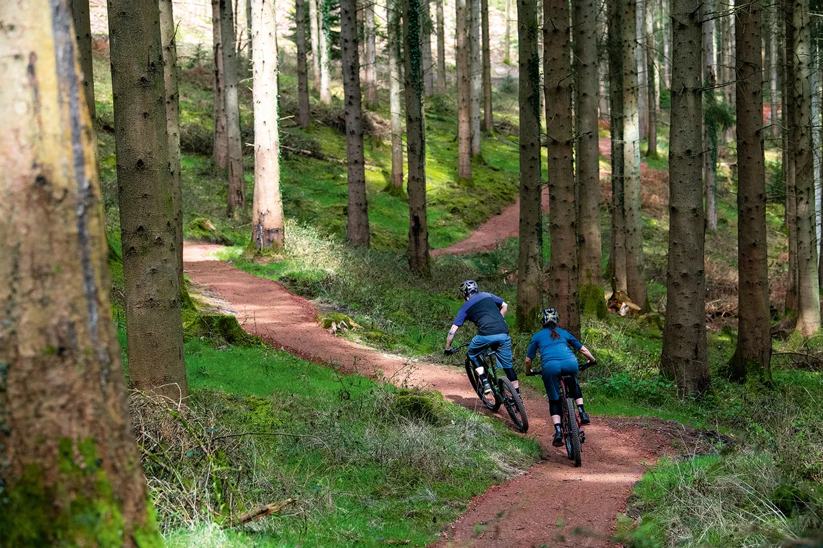 Two cyclists riding the Verderers Blue Trail, Forest of Dean