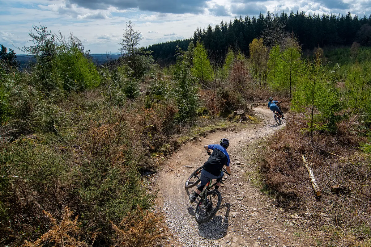 Cyclists riding the Verderers Blue Trail, Forest of Dean