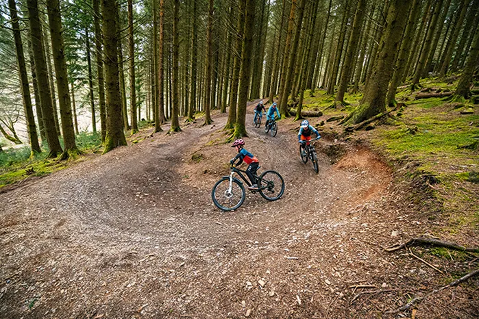 Cyclists riding the Quercus trail at Whinlatter, Lake District