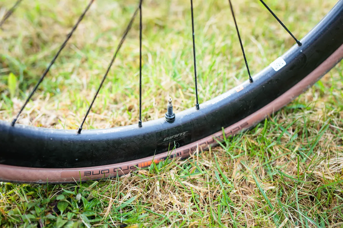 Schwalbe Pro One TLE Transparent tyre on Giant SLR 1 wheel