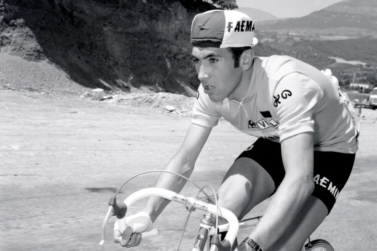 Le porteur du maillot jaune, le Belge Eddy Merckx, roule, le 10 juillet 1970, lors de la 14ème étape du Tour de France entre Gap et le Mont Ventoux. Merckx remportera l'étape et gagnera à Paris son 2ème Tour de France consécutif.