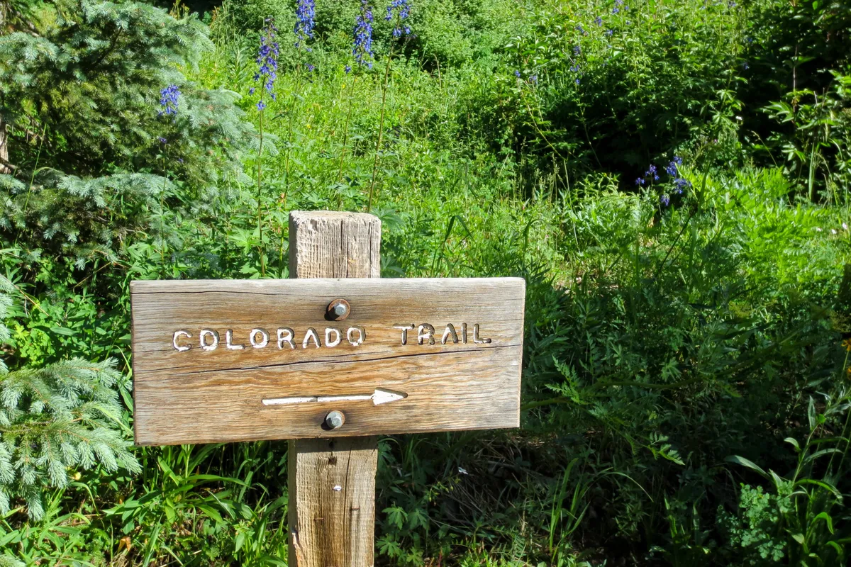 Image of a simple wooden sign for the Colorado trail with an arrow pointing to the right