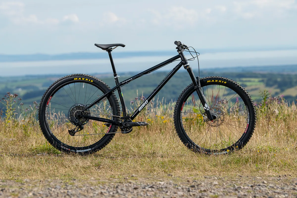 Pack shot of the Bird Forge hardtail mountain bike