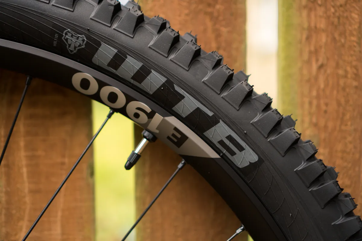WTB Verdict and Vigilante mountain bike tyres