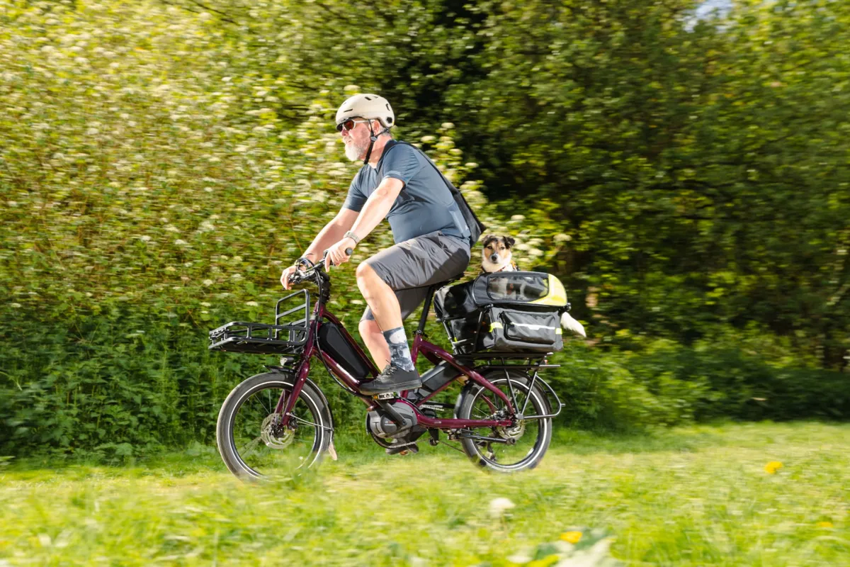 Man riding the Tern Quick Haul e-cargo bike with a dog