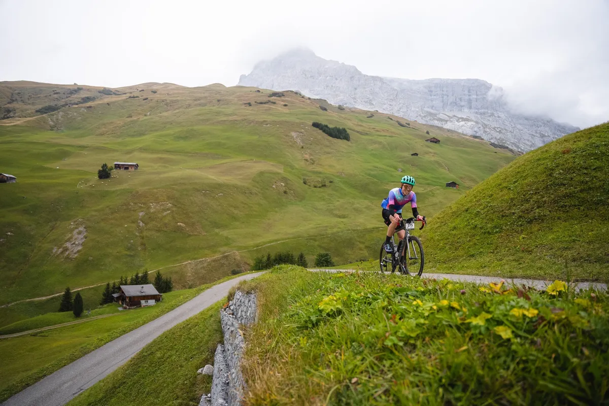Jack’s Canyon Ultimate CF SLX Haute Route Davos Horse for the Course