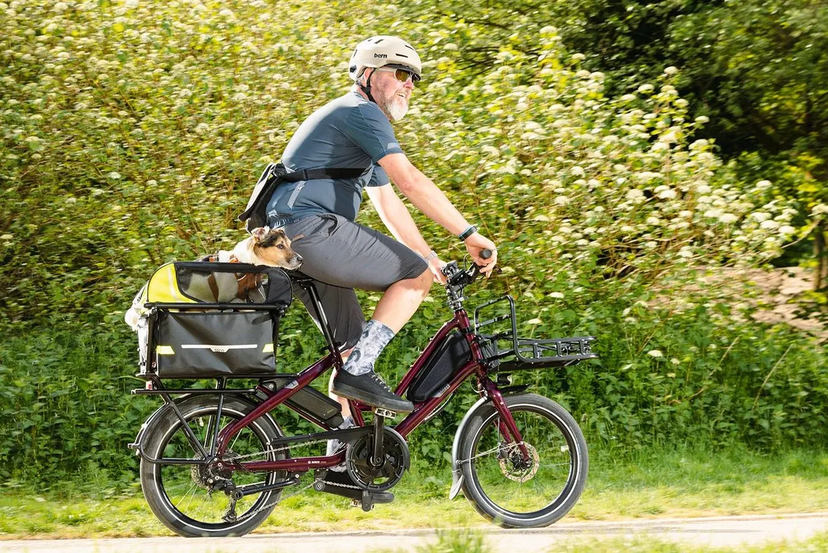 Dog riding in basket on the back of a Tern electric cargo bike.