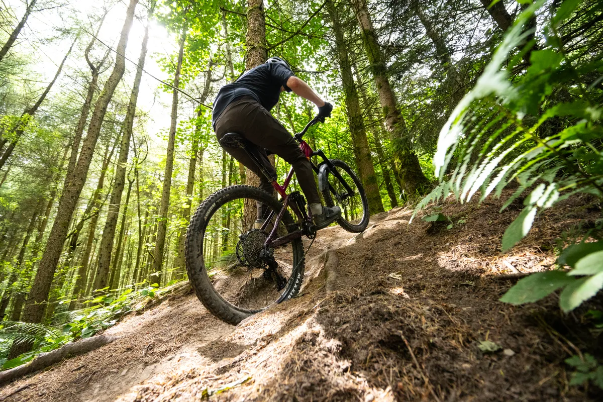 Tom Law riding Marin mountain bike up steep trail in Forest of Dean.