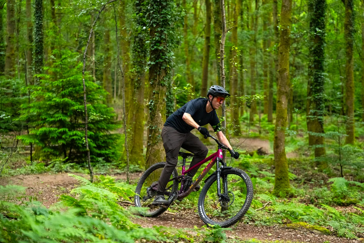 Tom Law riding Marin mountain bike through Forest of Dean.