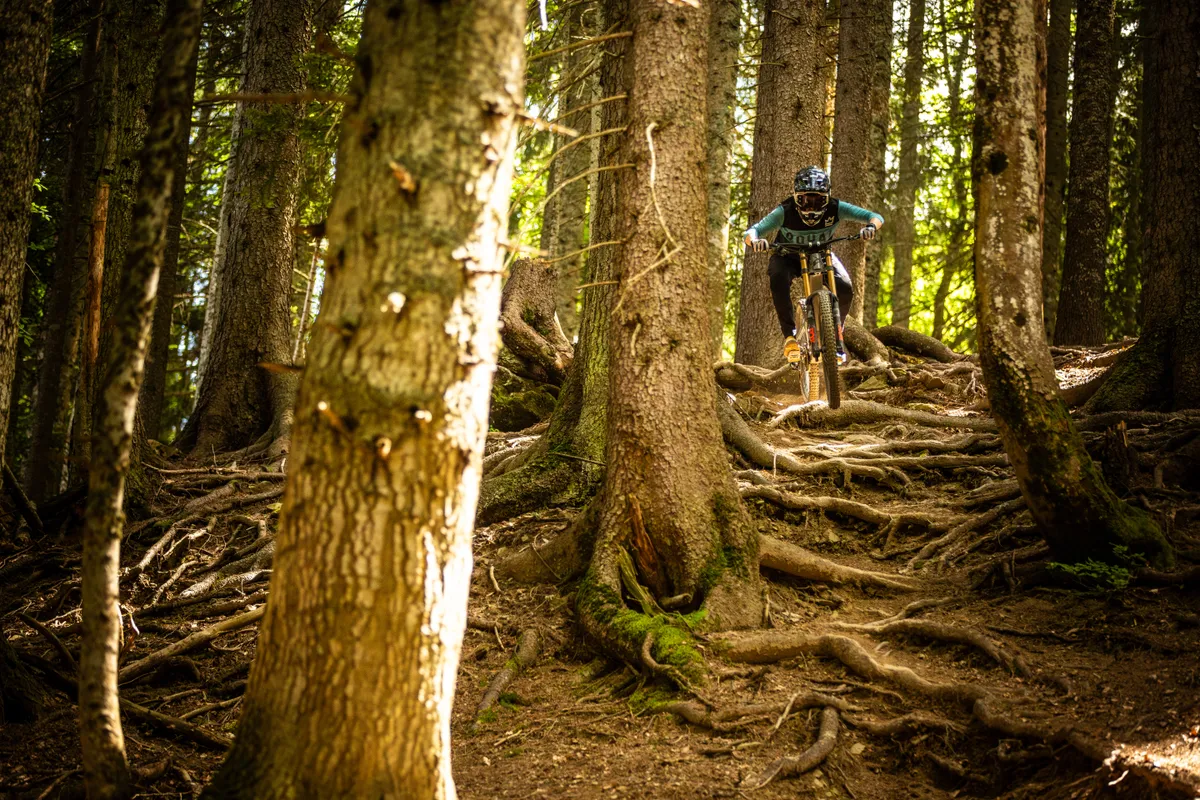 Person riding downhill bike through woods.