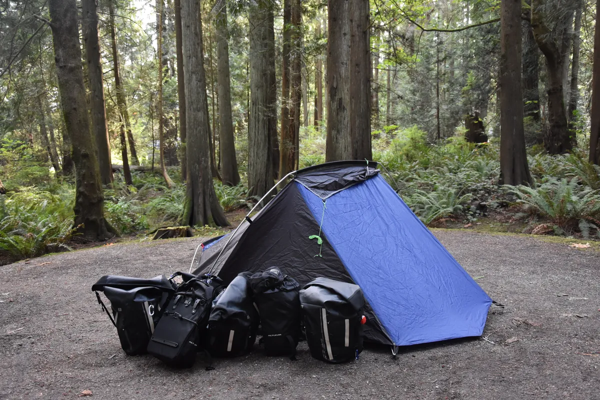Coleman Cobra tent in woods.