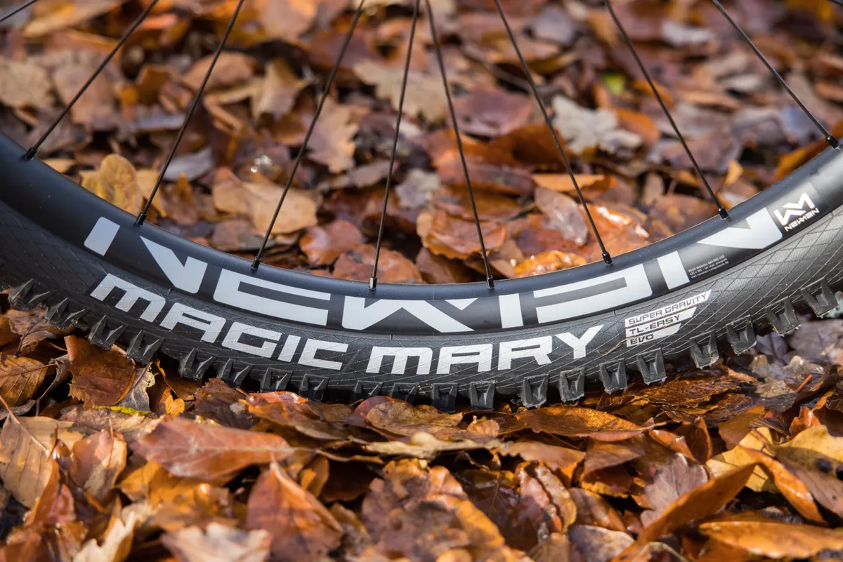 Propain Ekano 2 CF Ultimate with Schwalbe Magic Mary