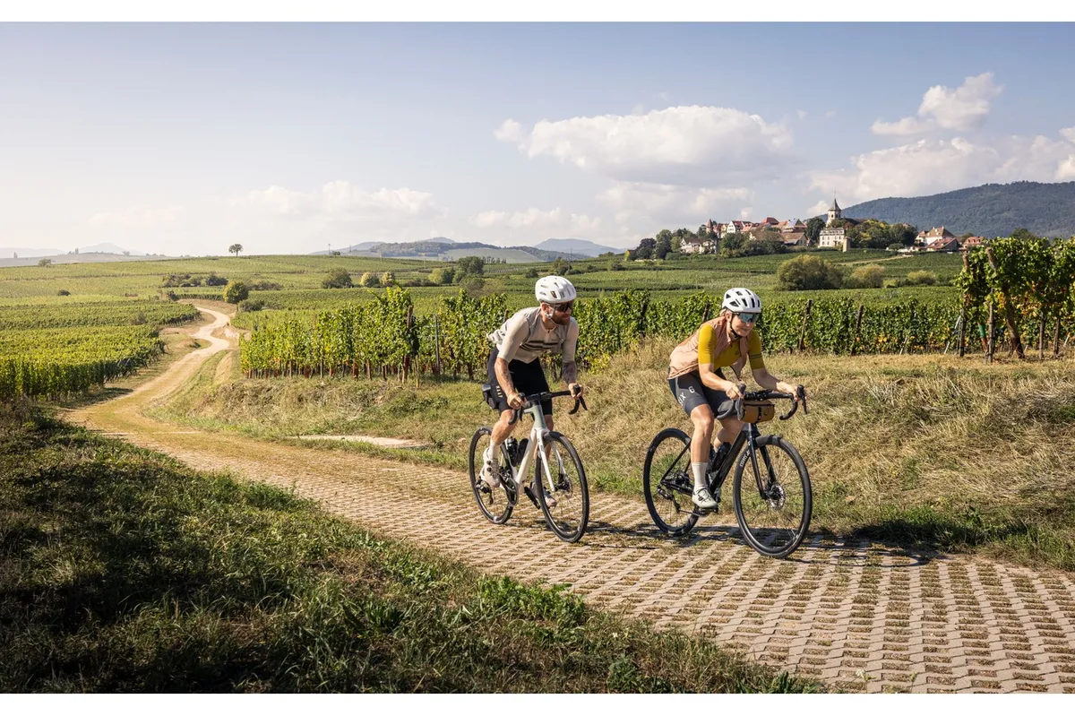 Two cyclists riding Focus Paralane through vineyards