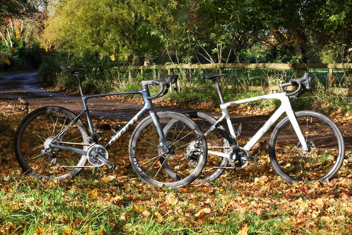 Giant Defy (left) and Specialized Roubaix (right) on grassy verge.