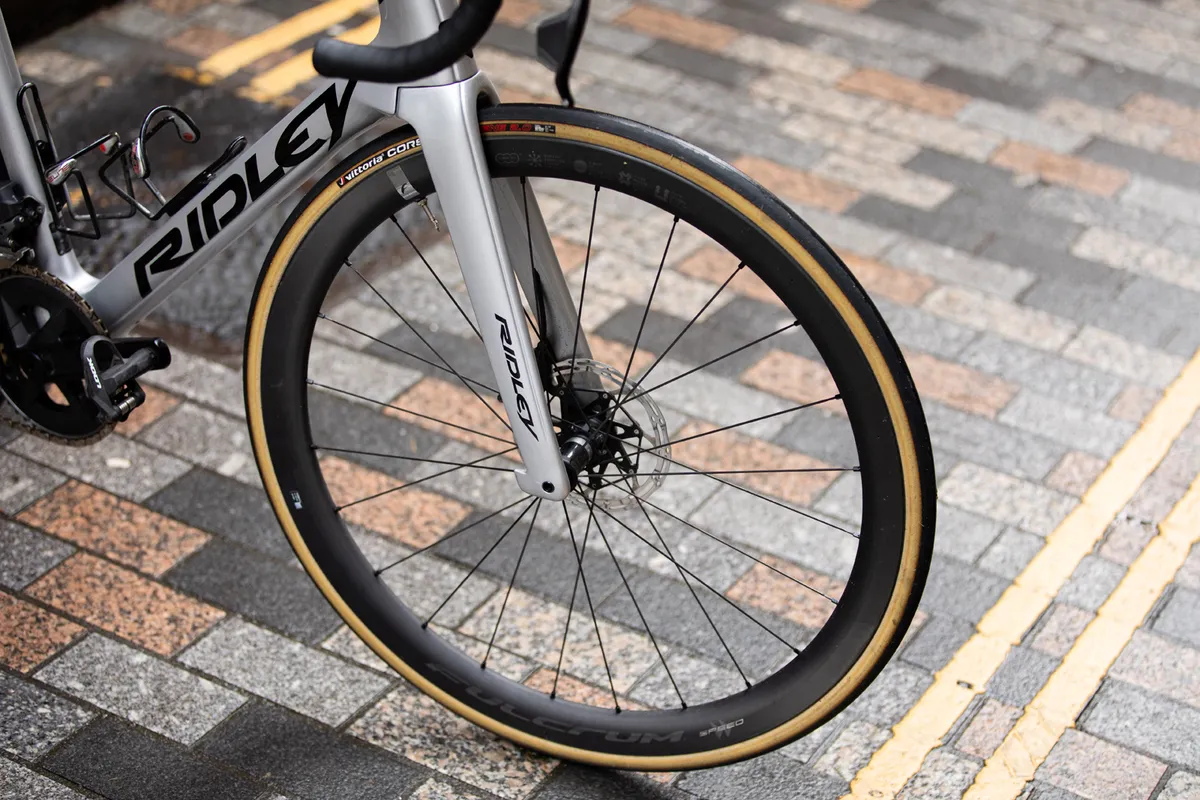 Close-up of Fulcrum wheel fitted in Ridley Noah Disc Essential road race bike.